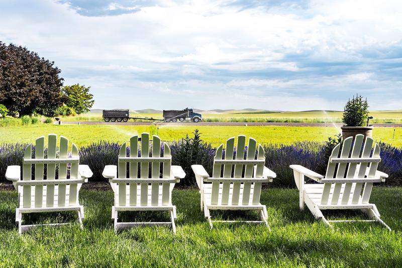 Four white chairs facing rural landscape
